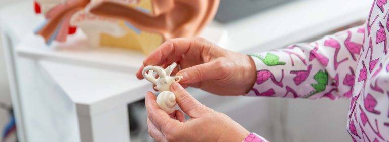Marina With Model Of Hearing Anatomy